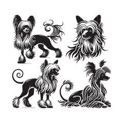 Chinese Crested Dog Vector Silhouette - Minimalist Chinese Crested Dog Design - Illustration of Chinese Crested Dog.