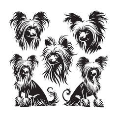 Chinese Crested Dog Vector Silhouette - Minimalist Chinese Crested Dog Design - Illustration of Chinese Crested Dog.