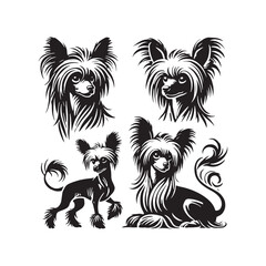 Chinese Crested Dog Vector Silhouette - Minimalist Chinese Crested Dog Design - Illustration of Chinese Crested Dog.