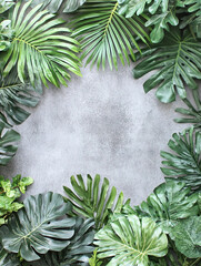 Green Tropical Leaves with Soft Light