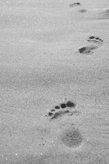 Footprints in the sand. Barefoot footprints on the beach sand. Black and white photo. High quality photo. High quality photo
