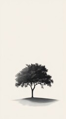 Fototapeta premium Solitary Tree Stands Alone Against Pale Sky