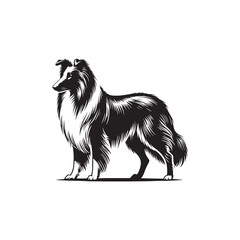  Collie Dog Vector Silhouette - Collie Minimal Design - Illustration of Collie Dog.