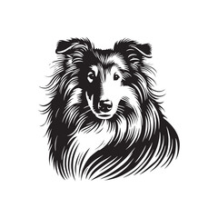  Collie Dog Vector Silhouette - Collie Minimal Design - Illustration of Collie Dog.