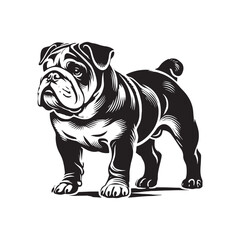 Minimal Continental Bulldog Silhouette - Continental Bulldog Vector - Illustration of Continental Bulldog.