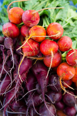Organic Farmer's Market Fresh Vegetable Beet Beetroot