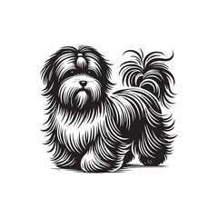 Coton de Tulear Dog Silhouette - Coton de Tulear Vector - Illustration of Coton de Tulear Dog.