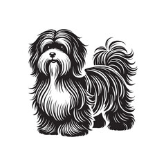 Coton de Tulear Dog Silhouette - Coton de Tulear Vector - Illustration of Coton de Tulear Dog.