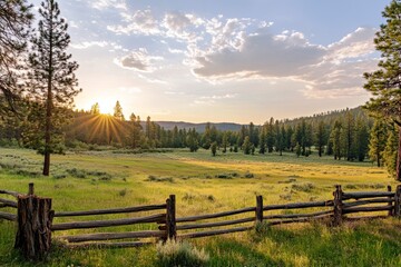 Obraz premium Serene Sunrise Over Lush Green Meadow with Wooden Fence in Vibrant Landscape Surrounded by Tall Evergreen Trees and Clear Blue Sky