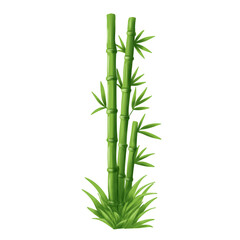 bamboo forest nature illustration