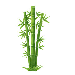 lush green bamboo forest illustration
