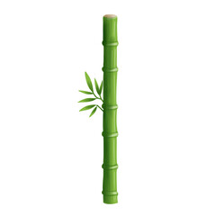 Fototapeta premium green bamboo isolated on png transparant background 