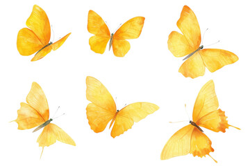 Obraz premium Yellow butterflies in flight, transparent background