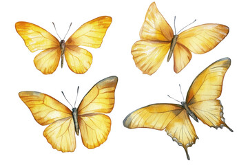 Yellow butterflies flying isolated on transparent background