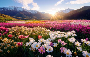 Vibrant Spring Landscape with Colorful Flower Fields and Majestic Mountains Under Bright Sunrise Sky in Beautiful Nature Scene