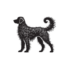 Curly-Coated Retriever Silhouette - Curly-Coated Retriever Dog Vector - Curly-Coated Retriever Dog Illustration.