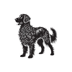 Curly-Coated Retriever Silhouette - Curly-Coated Retriever Dog Vector - Curly-Coated Retriever Dog Illustration.