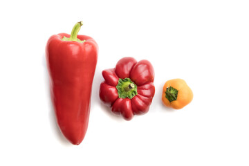 Spitzpaprika, Paprika und Gelbe Paprika auf weißem Untergrund. Clean Food Fotografie.