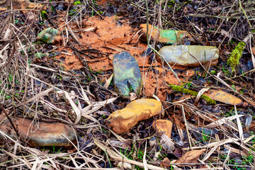 Fototapety na wymiar - Fototapeta24.pl