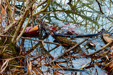 Fototapety na wymiar - Fototapeta24.pl