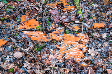 Various kinds of trash waste objects a lot floating in the pond mixed with aquatic plants