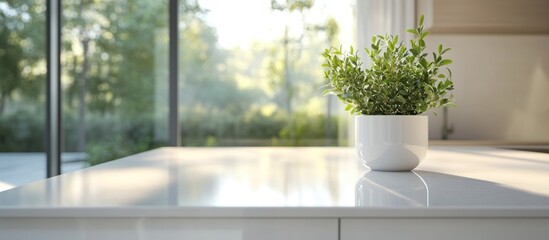 Fototapeta premium Serene Minimalist Kitchen: A Plant on a White Countertop