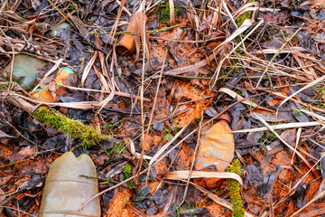 Fototapety na wymiar - Fototapeta24.pl