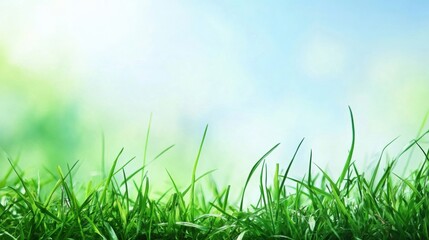 Fresh green grass under a bright blue sky creating an inviting space for nature lovers and outdoor activities. Generative AI