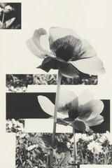 Minimalist collage featuring geometric shapes and pixelated flowers against a white background