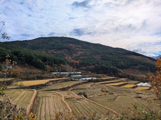Naklejka premium Jirisan Park, Korea 