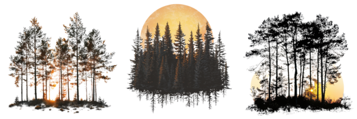 Sunset silhouettes of forest landscapes against vibrant orange sky creates a serene atmosphere