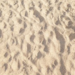 Summer beach sand background with natural wave pattern. Sand texture. Sunny gold sandy beach wallpaper