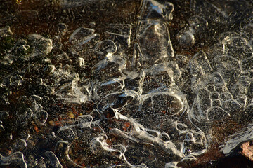 Ice Bubbles on the Beach