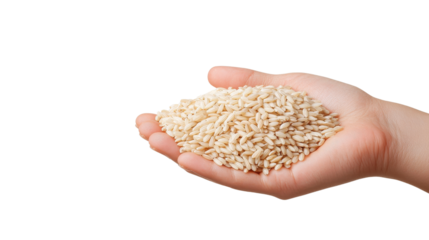 A hand holding a handful of uncooked brown rice, symbolizing nourishment and health.