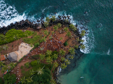 Aerial view of Parrot rock surrounded by scenic beach and turquoise ocean, Mirissa, Sri Lanka.