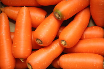 ニンジンで埋め尽くされる幸せ