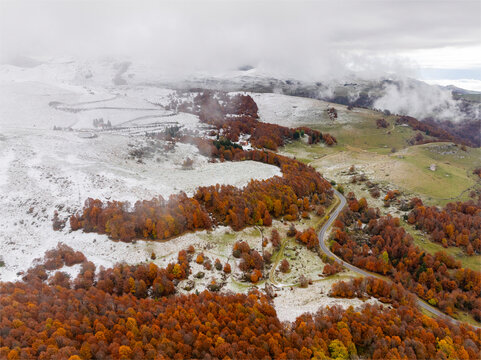 Aerial view of beautiful autumn woods and snow-capped mountains with a winding road, Lessinia, Bosco Chiesanuova, Italy.