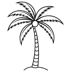 Fototapeta premium A simple line drawing of a tropical tree, palm tree, coconut tree outline photo linear cartoon doodle line art icon sign silhouette vector illustration 
