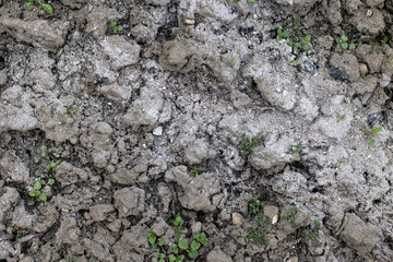 Soil background, clay texture. Rural industry Spring field. Close-up from above. Dry ground, hard surface