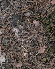 Soil background, clay texture. Rural industry Spring field. Close-up from above. Dry ground, hard surface
