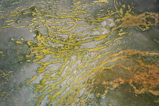 Aerial view of beautiful geoff skinner wetlands with unusual serpentine streams and abstract patterns, wellington point, australia.