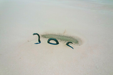 Aerial view of Lake Bumbunga with an artificial Loch Ness monster sculpture surrounded by sandy landscape, Lochiel, Australia.