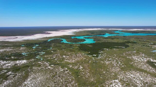 Aerial view of pristine Willies Creek with lush mangroves and blue water, Kimberley Region, Australia.