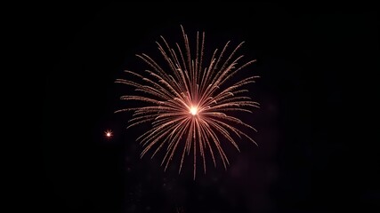Fireworks blooming in the night sky