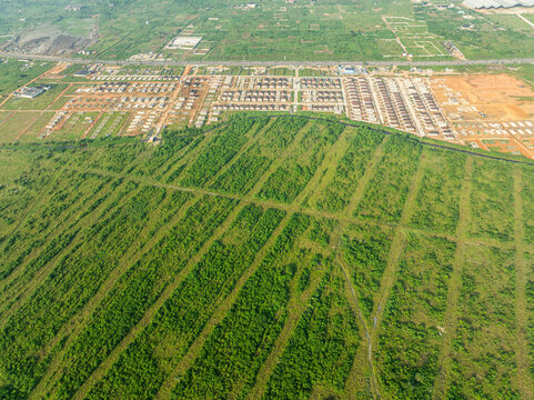Aerial view of green farmland and residential areas with urban expansion, Greater Taf City, Rivers State, Nigeria.