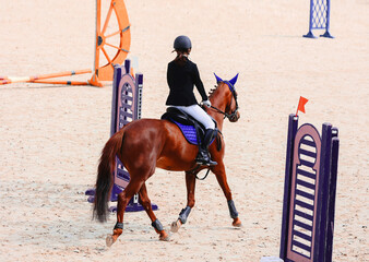 Equestrian sports. Workout. View from above. Show jumping competitions for children on horses. A girl walks the cavaletti course. View from above