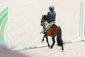 A bay pony walks the cavaletti course. The child begins to compete in equestrian sports. A child's first equestrian competition. Pony class