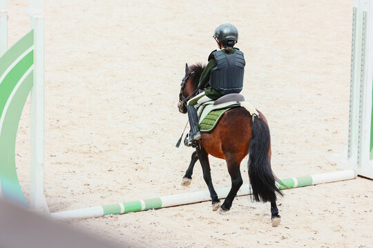 A bay pony walks the cavaletti course. The child begins to compete in equestrian sports. A child's first equestrian competition. Pony class
