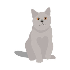 Vector illustration of grey cat in cartoon flat style. Cute pet animal in different pose. Animal icon on white isolated background