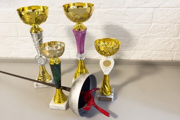  fencing trophy for winning competition, challenge and sports match. prize for games and tournament